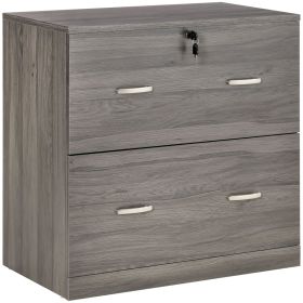 2 Drawer File Cabinet with Lock, Office Filing Cabinet, Hanging Bar for Letter Size, Home Office, Grey